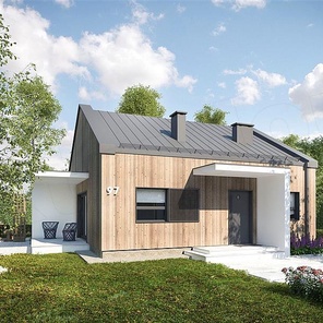 Одноэтажный дом Феникс