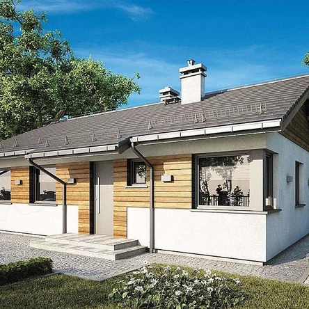 Одноэтажный дом Косма